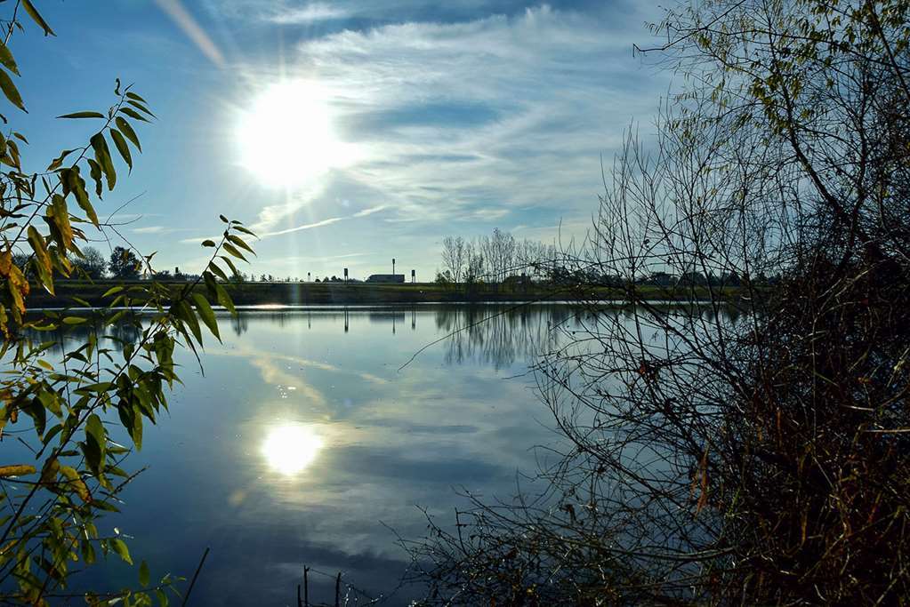 Quality Inn & Suites Coldwater Near I-69 Удобства фото