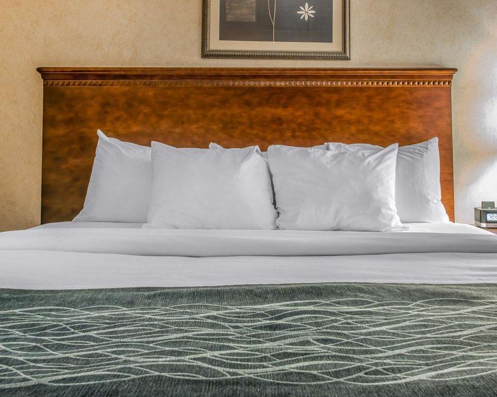 Quality Inn & Suites Coldwater Near I-69 Номер фото